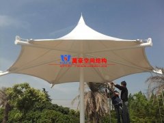 膜結(jié)構(gòu)形態(tài)有哪幾種？分別有哪些特點(diǎn)特征？